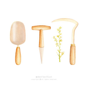 Garden tools in watercolour